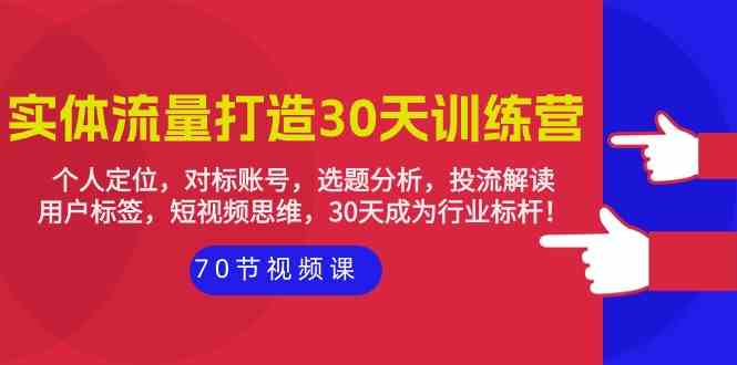 实体流量打造30天训练营：个人定位，对标账号，选题分析，投流解读（70节）-AI关键字