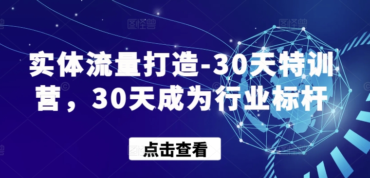 实体流量打造-30天特训营，30天成为行业标杆-AI关键字