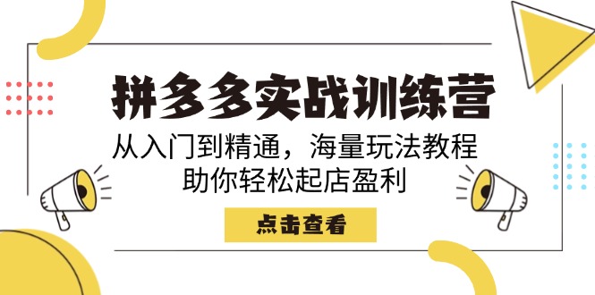 （14392期）拼多多实战训练营，从入门到精通，海量玩法教程，助你轻松起店盈利-AI关键字