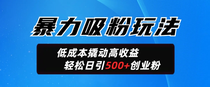 暴力吸粉玩法，日引500+精准创业粉，日变现轻松多张-AI关键字