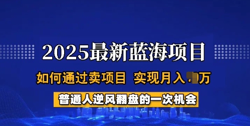 2025蓝海项目，普通人如何通过卖项目，实现月入过W，全过程【揭秘】-AI关键字