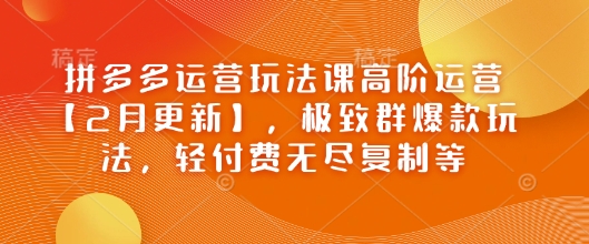 拼多多运营玩法课高阶运营【2月更新】，极致群爆款玩法，轻付费无尽复制等-AI关键字